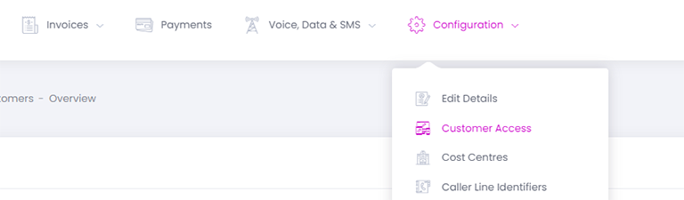 Customer Access